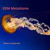 Reborn Studio Bali - Edm Metalzone